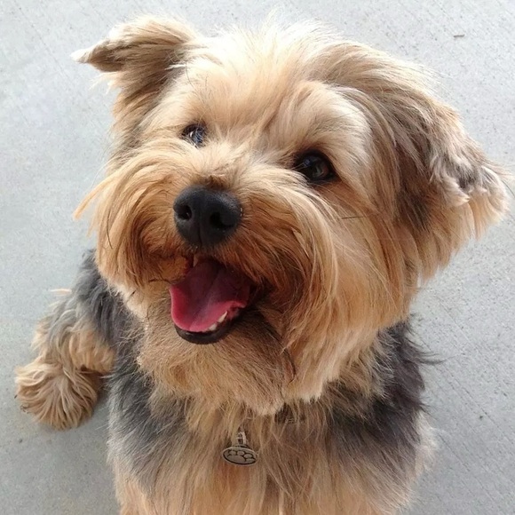 Meet your Posher, NaBoo - Picture 1 of 1